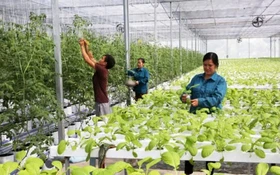 Thúc đẩy KH,CN để đặt mục tiêu tăng trưởng cao và giảm phát thải